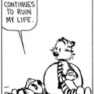 29